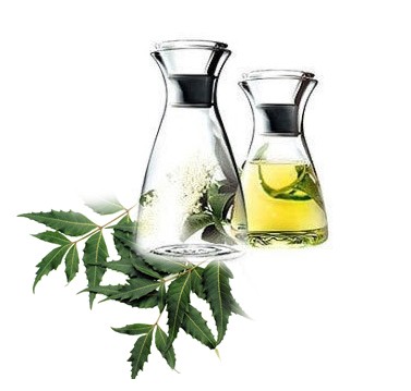 Neem Water
